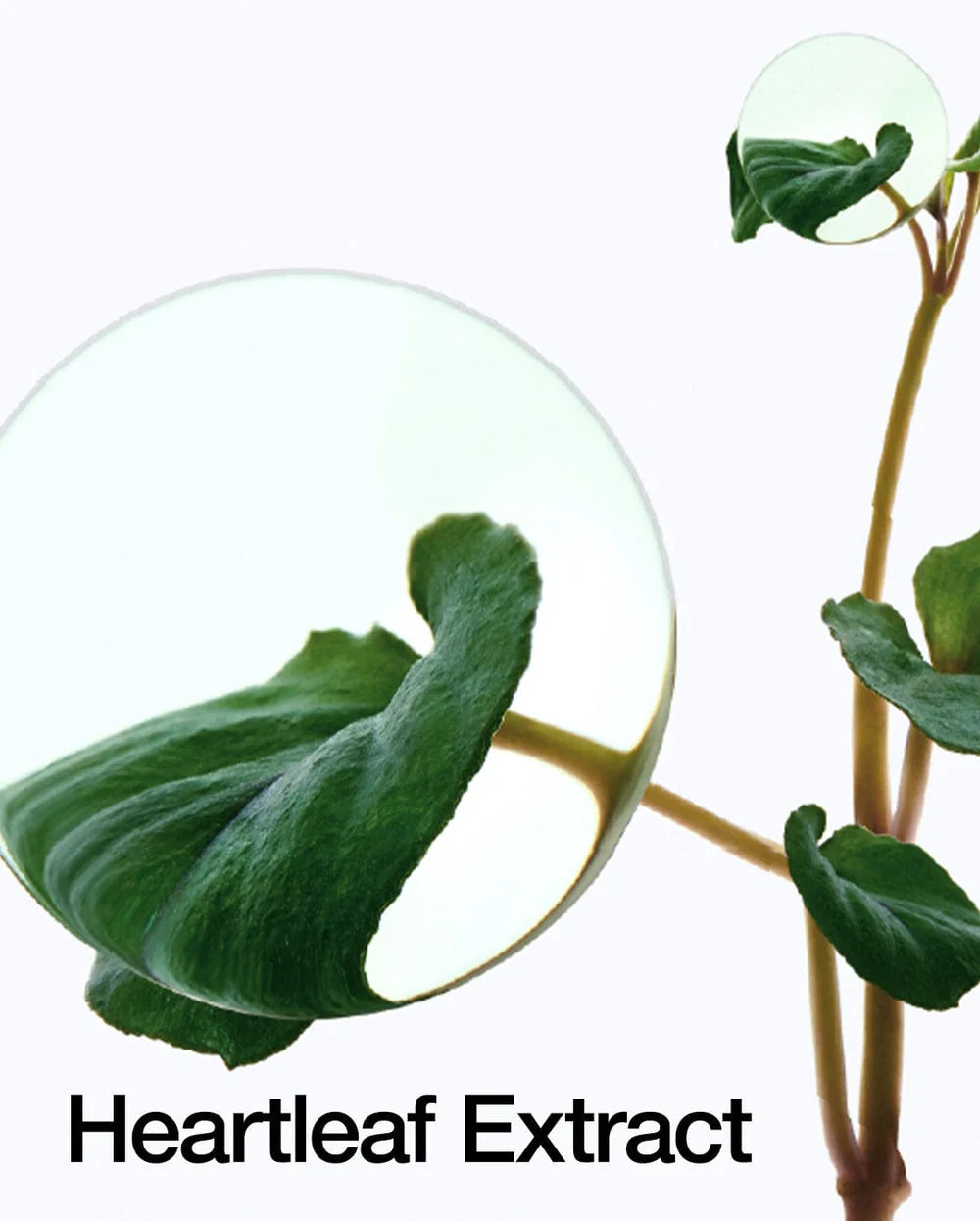 Anua - Gel Exfoliante Heartleaf LHA Moisture Peeling Gel