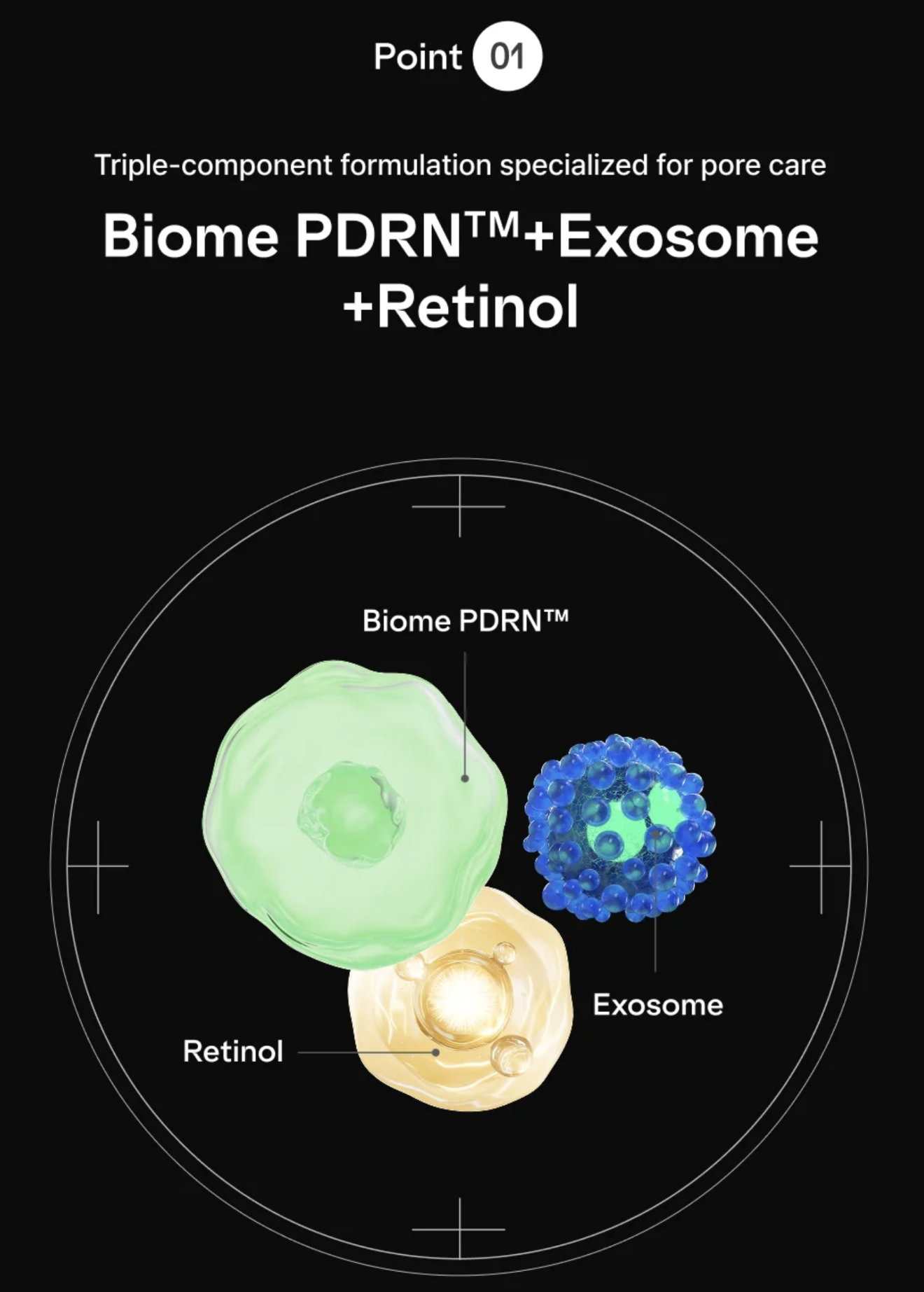 Dr.nineteen PoreXsome ReDRN Exosome Ampoule 15ml X 2
