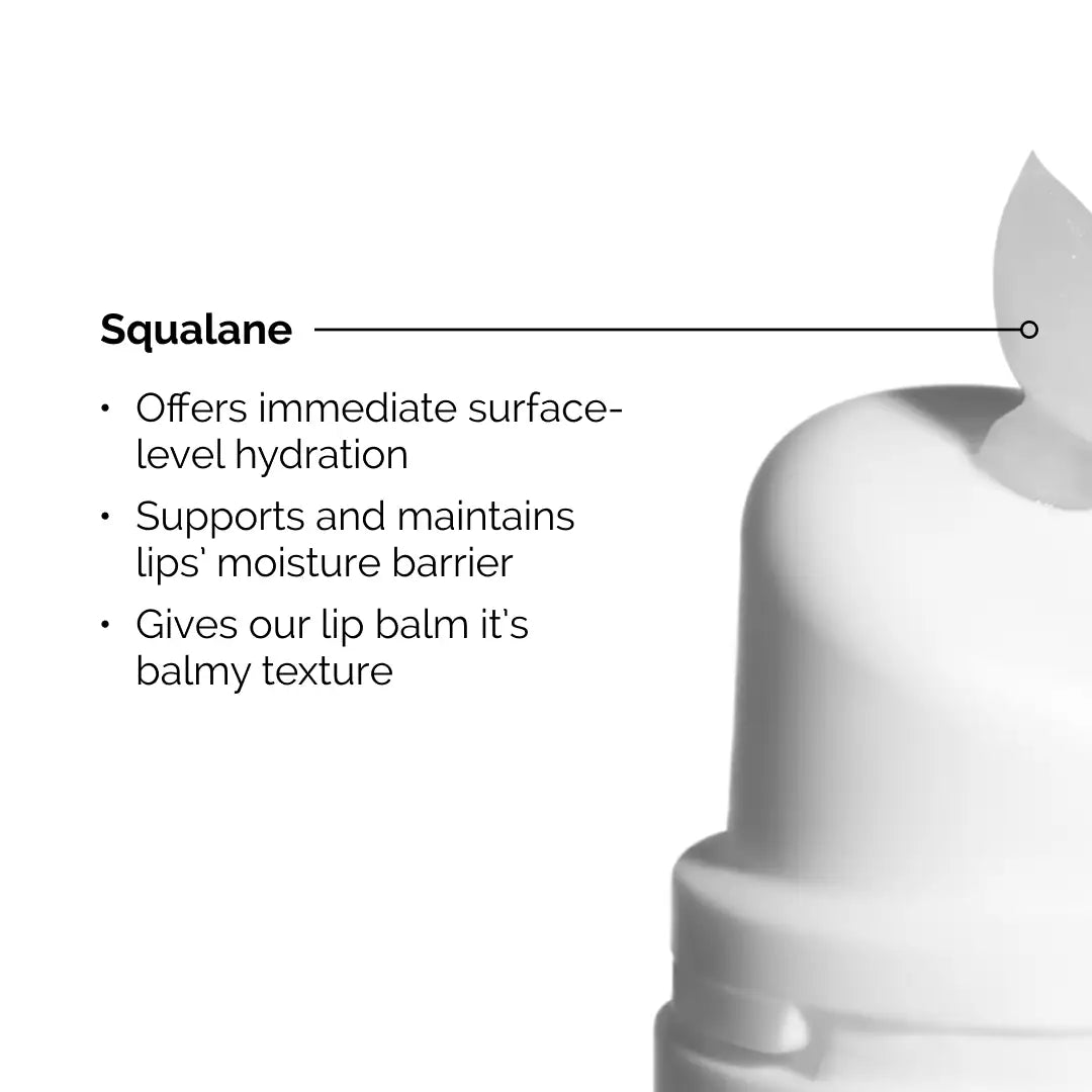 The ordinary Bálsamo Labial con Escualano + Aminoácidos